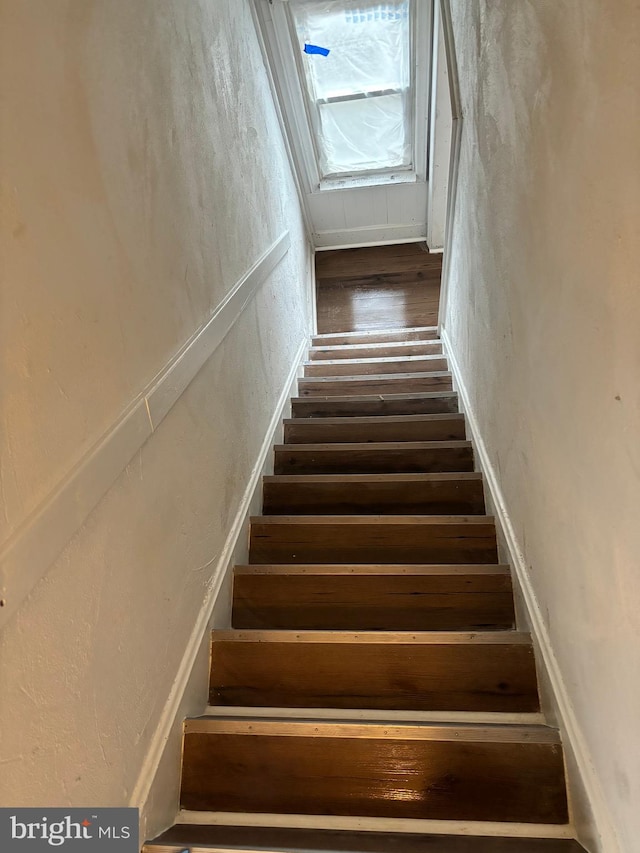 stairway featuring hardwood / wood-style floors