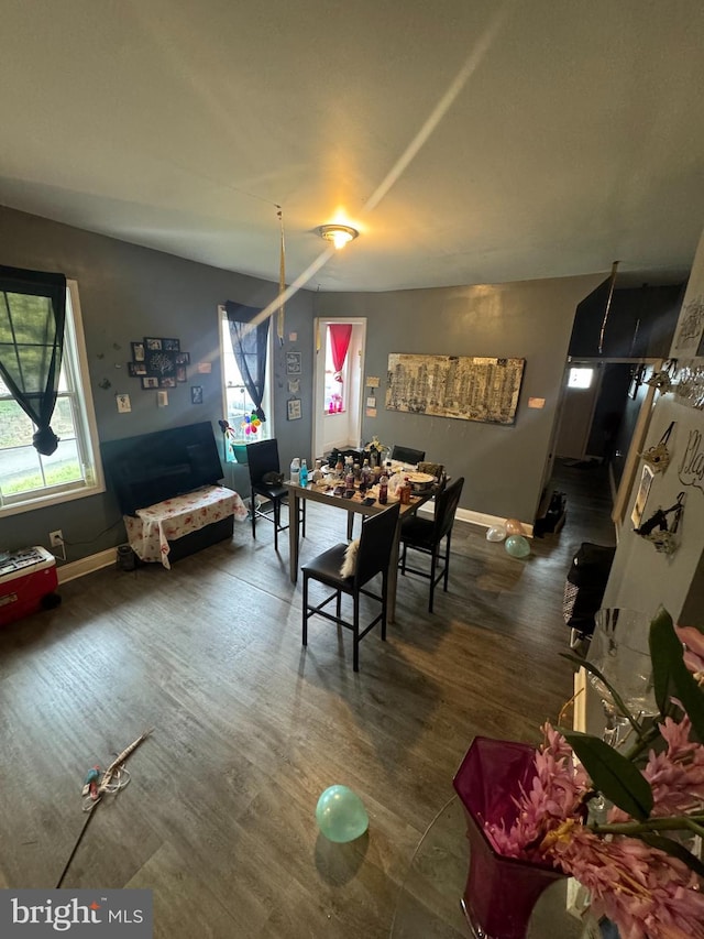 dining area featuring dark hardwood / wood-style flooring