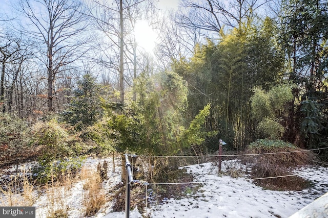 view of snowy landscape