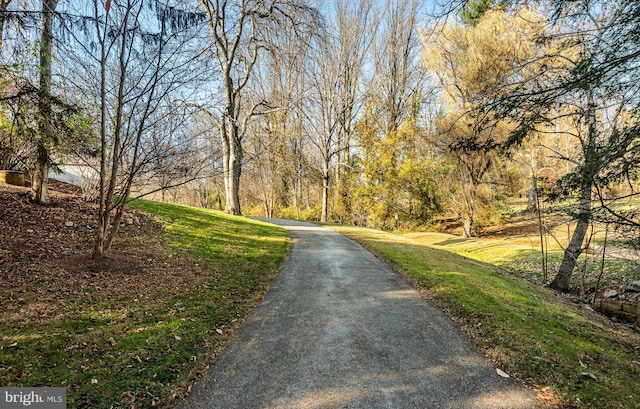 view of road