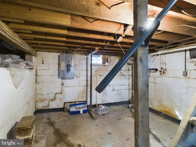 basement with electric panel