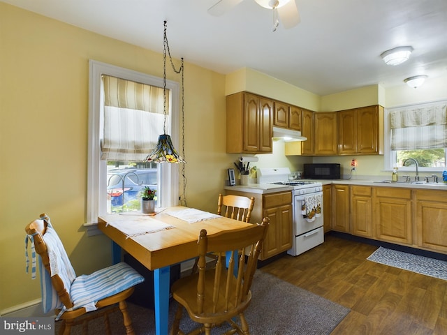 kitchen featuring dark hardwood / wood-style flooring, sink, white range with gas cooktop, and ceiling fan