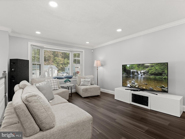 living room featuring ornamental molding and dark hardwood / wood-style floors