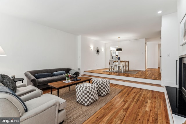 living room featuring wood-type flooring