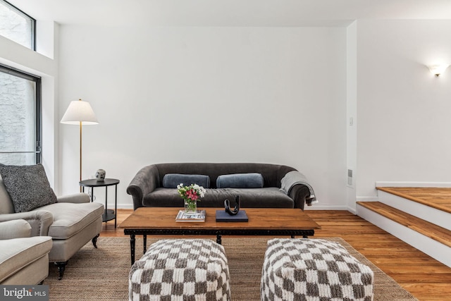 living room with wood-type flooring