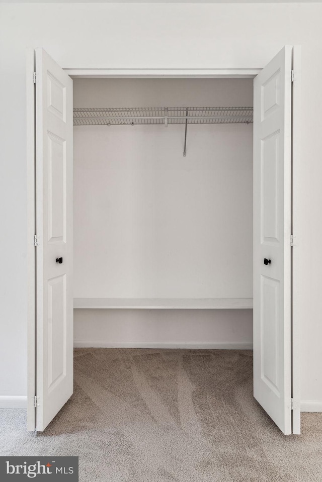 view of closet