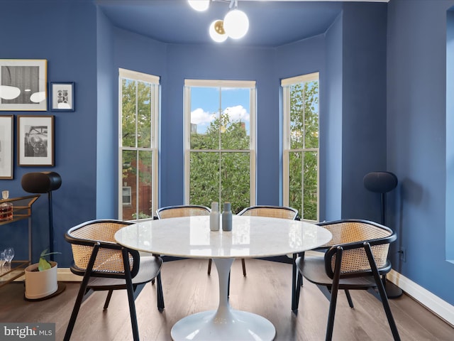 dining room featuring light wood-type flooring and a wealth of natural light