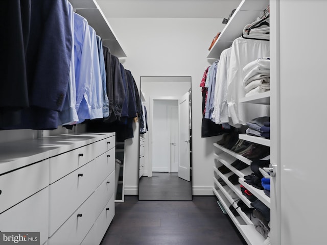 walk in closet featuring dark hardwood / wood-style flooring