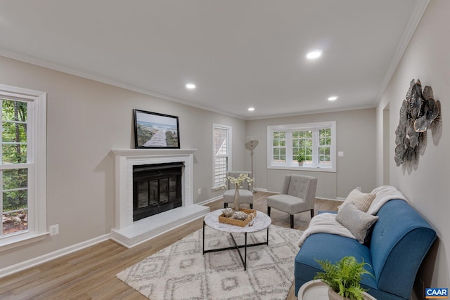 living room featuring crown molding, light hardwood / wood-style flooring, and plenty of natural light