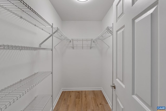 spacious closet featuring light wood-type flooring