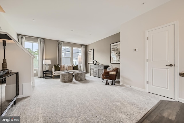 living area featuring light colored carpet