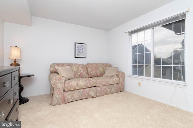 sitting room featuring carpet flooring