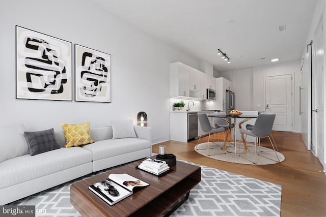 living room with light hardwood / wood-style flooring and sink