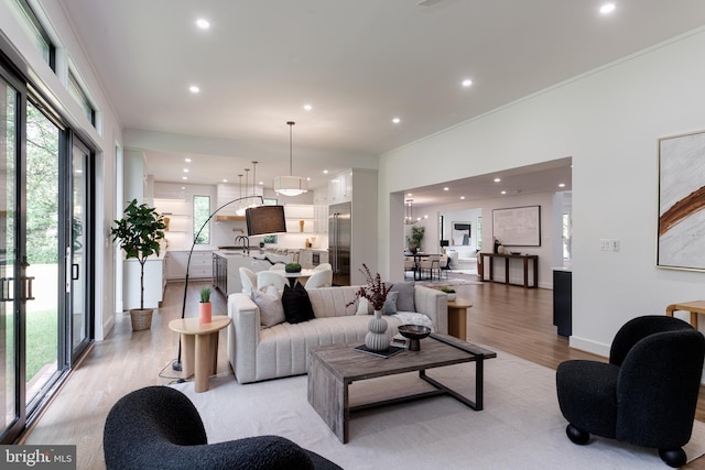 living room with light hardwood / wood-style flooring, a healthy amount of sunlight, and sink