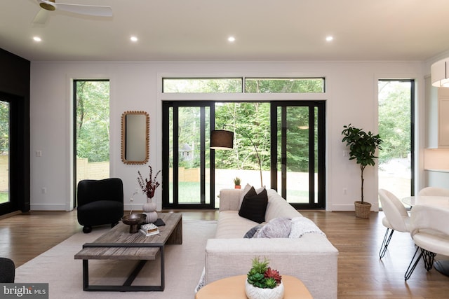 living room featuring ceiling fan, hardwood / wood-style flooring, and crown molding