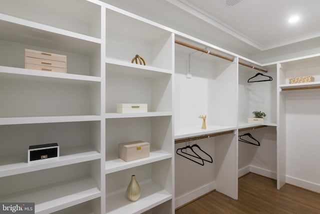 walk in closet featuring hardwood / wood-style flooring