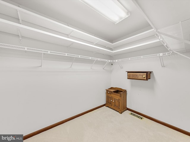 spacious closet featuring carpet