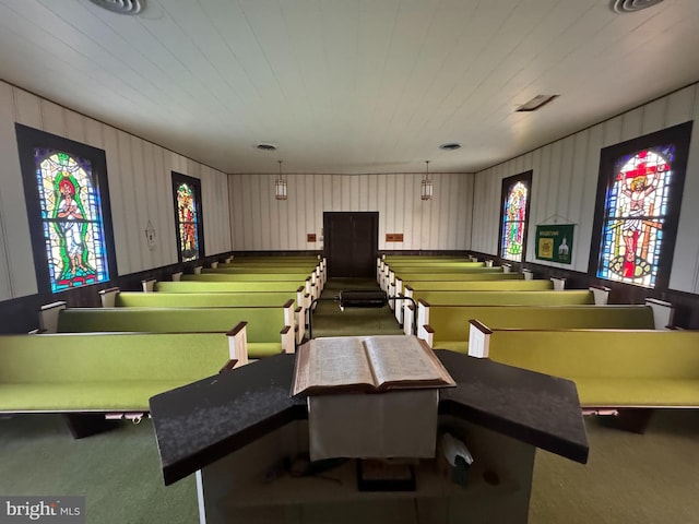 recreation room with carpet