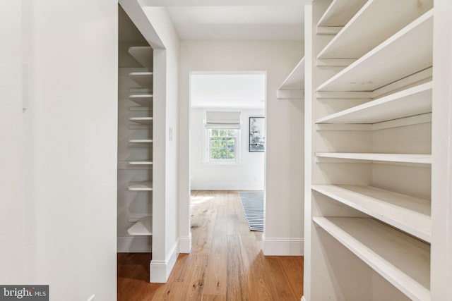 spacious closet featuring hardwood / wood-style flooring