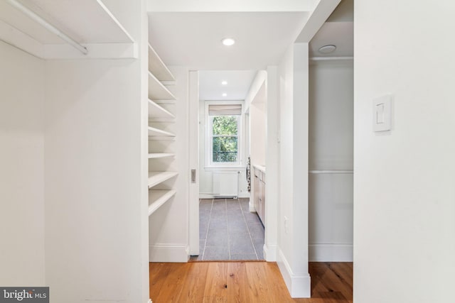 walk in closet with radiator heating unit and wood-type flooring