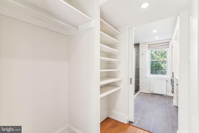 spacious closet with radiator and dark wood-type flooring