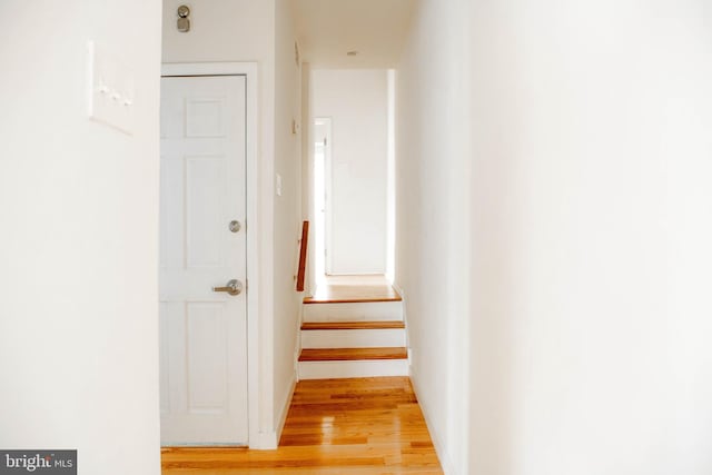 stairway featuring hardwood / wood-style floors