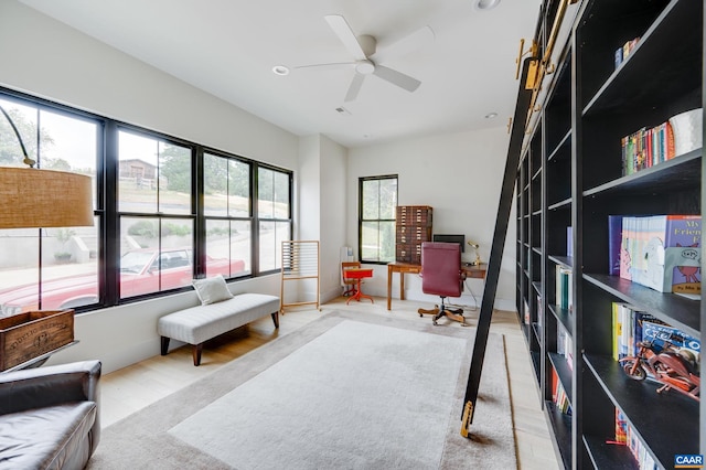 living area with ceiling fan and light wood-type flooring