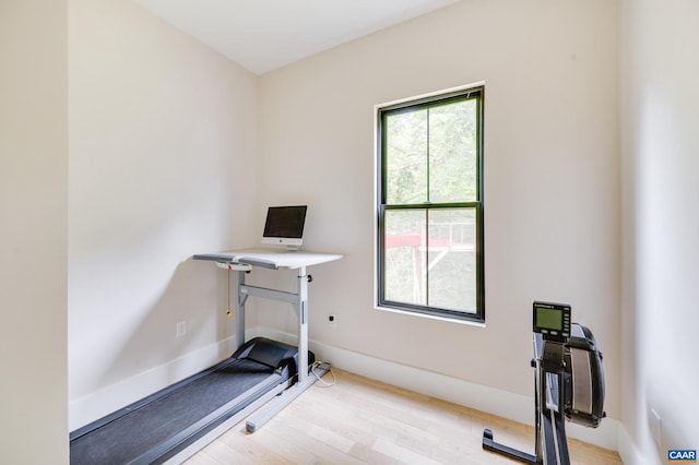 exercise room with light hardwood / wood-style flooring