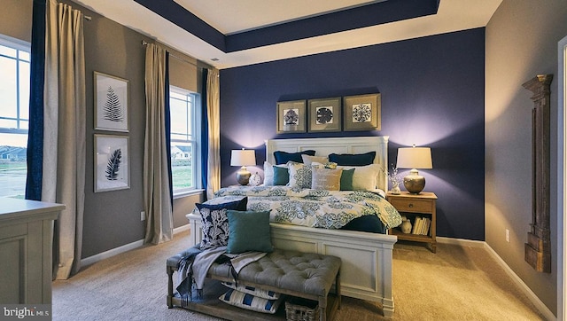 carpeted bedroom with multiple windows and a raised ceiling