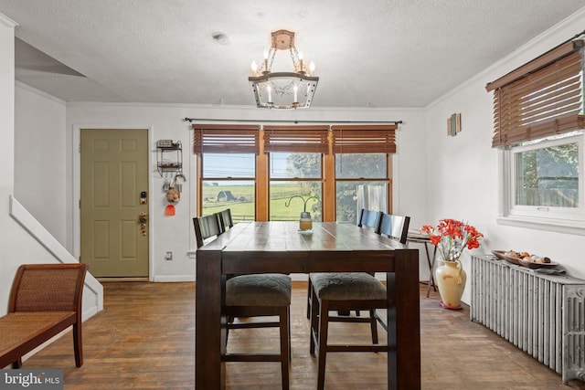 dining area featuring wood-type flooring, radiator heating unit, a notable chandelier, and a textured ceiling