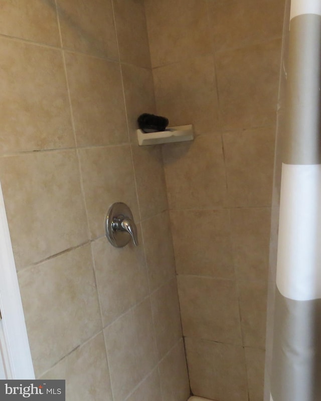 room details featuring tiled shower