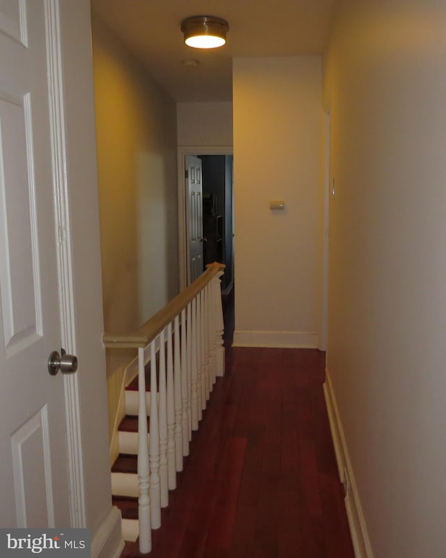 corridor featuring dark hardwood / wood-style floors