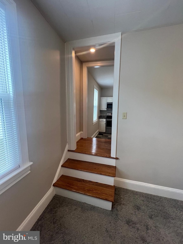 stairway featuring carpet floors