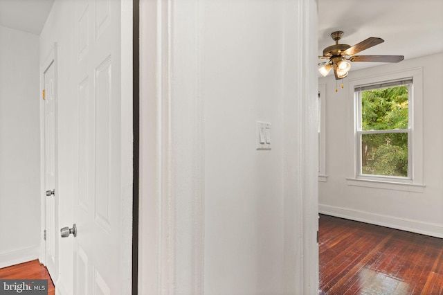 interior space featuring wood-type flooring and ceiling fan