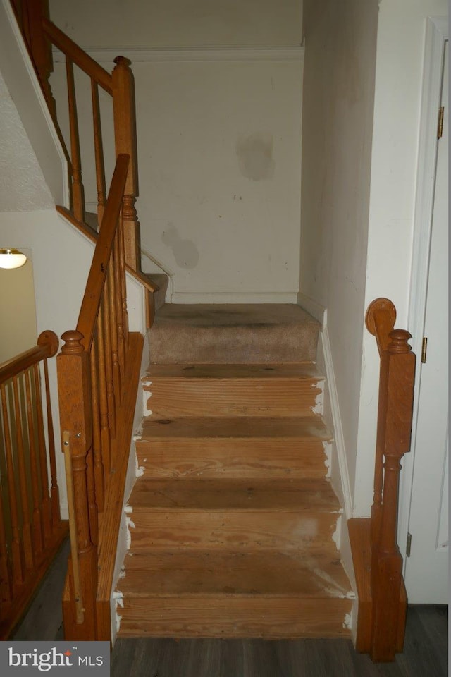 stairs with hardwood / wood-style flooring