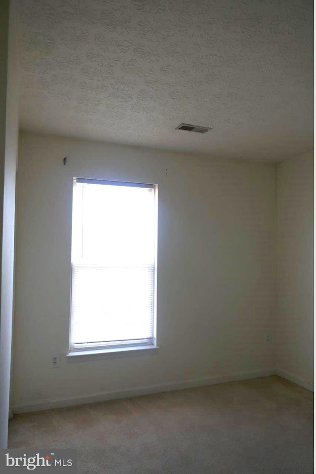 empty room featuring a textured ceiling, a healthy amount of sunlight, and light colored carpet