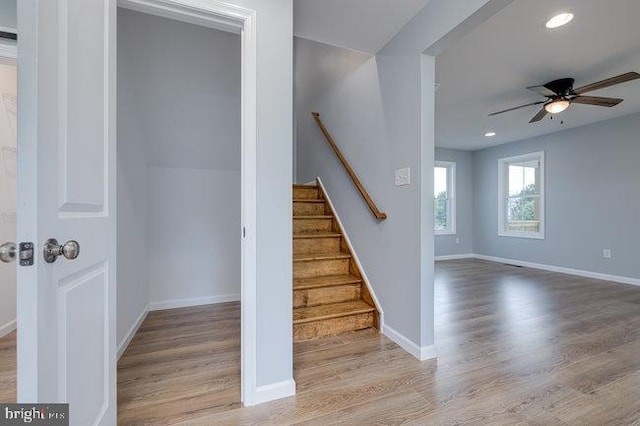 stairway featuring ceiling fan and hardwood / wood-style floors