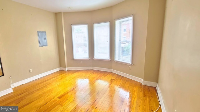 empty room featuring electric panel and light hardwood / wood-style flooring