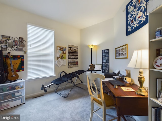 carpeted home office with plenty of natural light