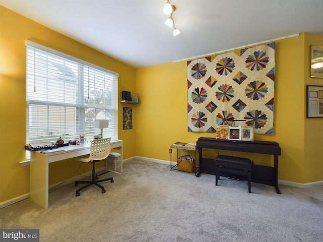 carpeted office with rail lighting