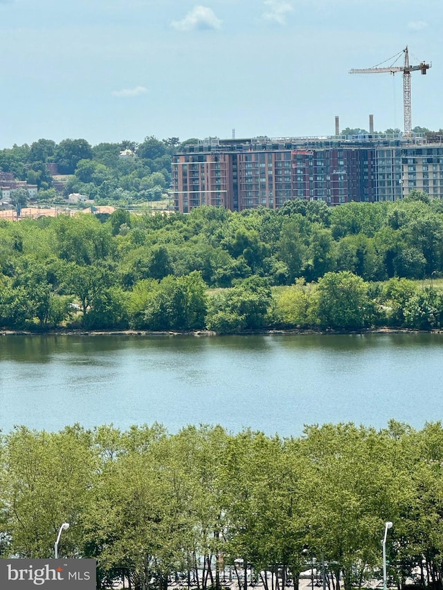 property view of water