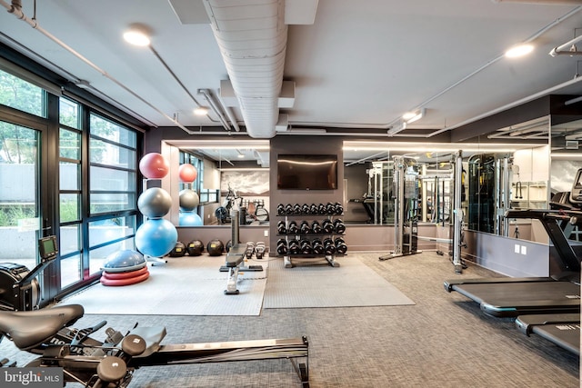 exercise room featuring carpet