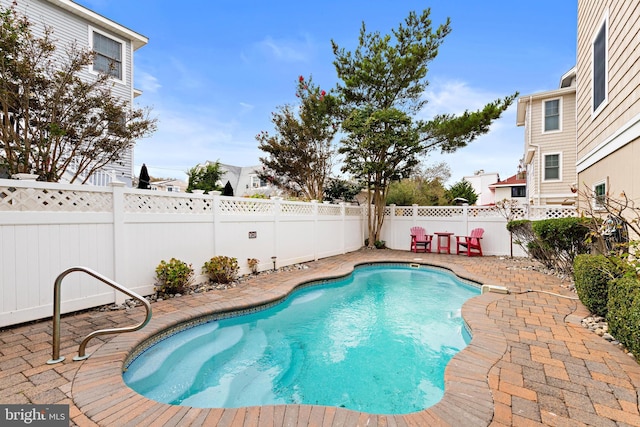 view of pool featuring a patio area