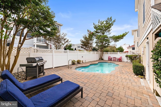 view of swimming pool with a grill and a patio