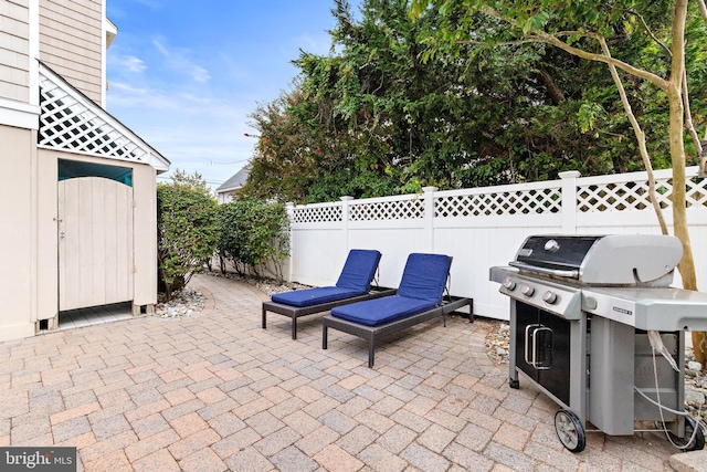 view of patio / terrace with grilling area