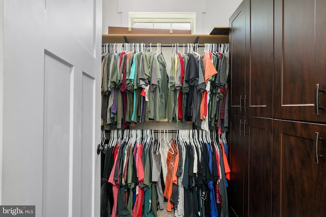 view of closet