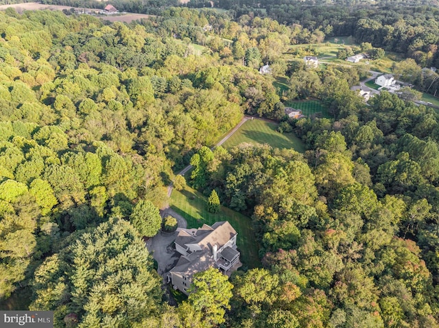 bird's eye view with a view of trees
