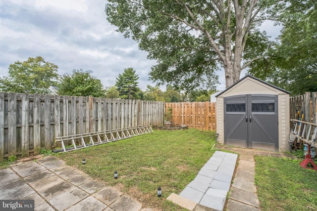 view of yard with a storage unit