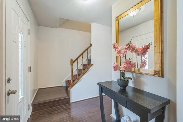 foyer with a wealth of natural light and dark wood-type flooring