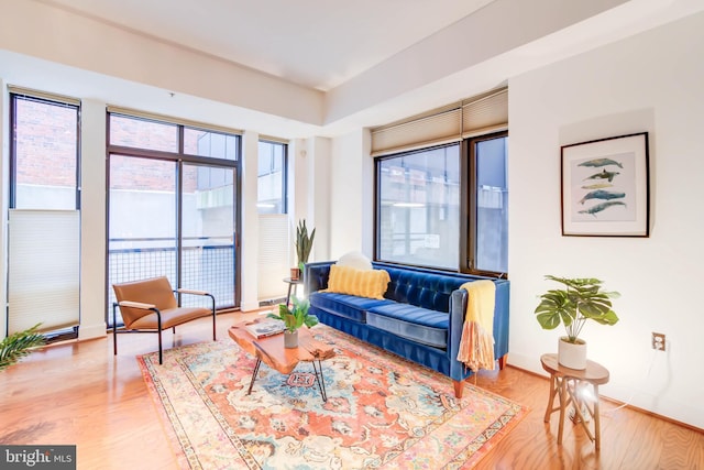 living room with light hardwood / wood-style flooring